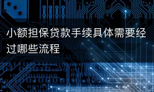 小额担保贷款手续具体需要经过哪些流程