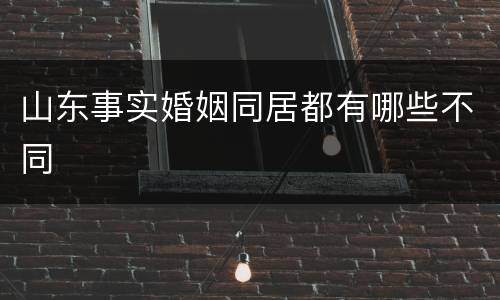 山东事实婚姻同居都有哪些不同