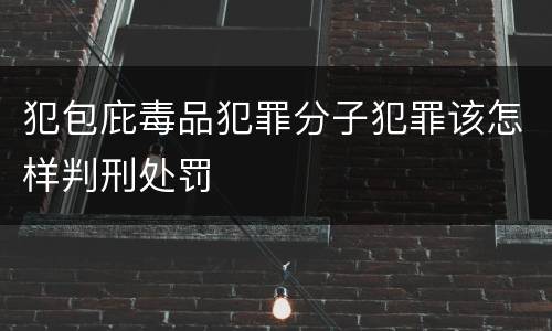 犯包庇毒品犯罪分子犯罪该怎样判刑处罚