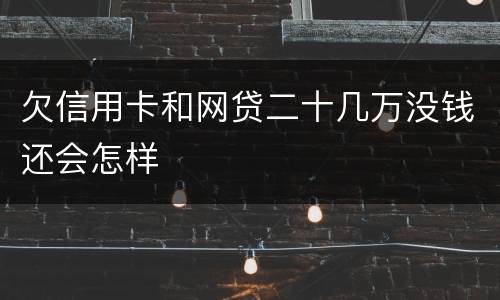欠信用卡和网贷二十几万没钱还会怎样