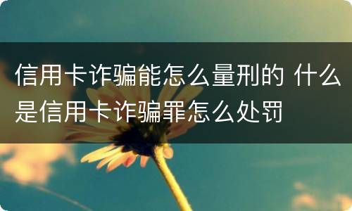 信用卡诈骗能怎么量刑的 什么是信用卡诈骗罪怎么处罚