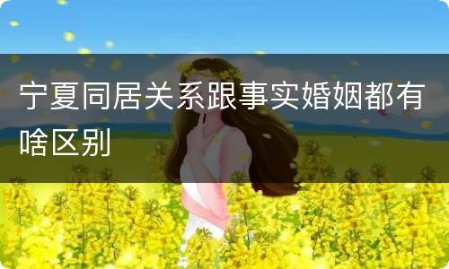 宁夏同居关系跟事实婚姻都有啥区别