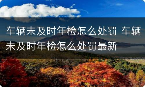 车辆未及时年检怎么处罚 车辆未及时年检怎么处罚最新