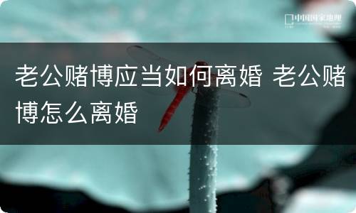 老公赌博应当如何离婚 老公赌博怎么离婚