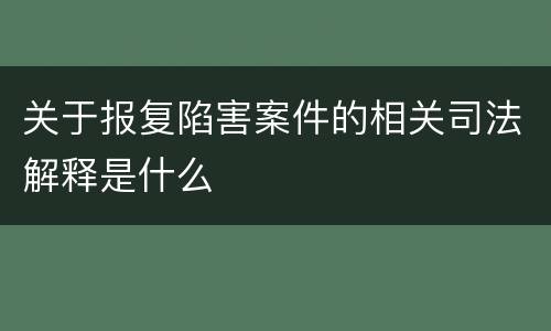 关于报复陷害案件的相关司法解释是什么