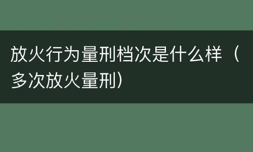 放火行为量刑档次是什么样（多次放火量刑）