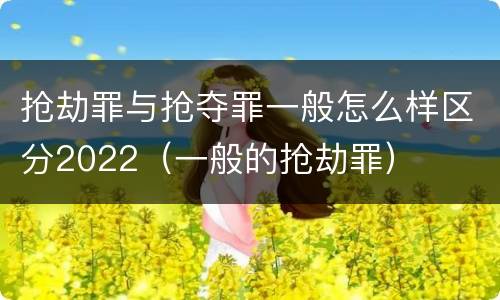 抢劫罪与抢夺罪一般怎么样区分2022（一般的抢劫罪）