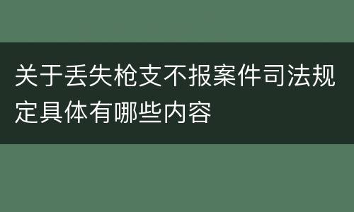 关于丢失枪支不报案件司法规定具体有哪些内容