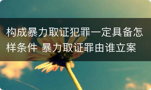 构成暴力取证犯罪一定具备怎样条件 暴力取证罪由谁立案