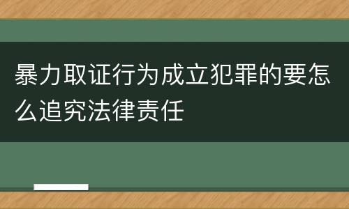 暴力取证行为成立犯罪的要怎么追究法律责任