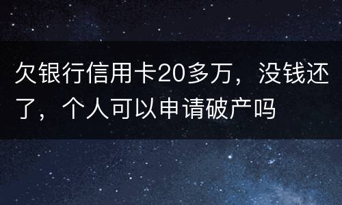 欠银行信用卡20多万，没钱还了，个人可以申请破产吗