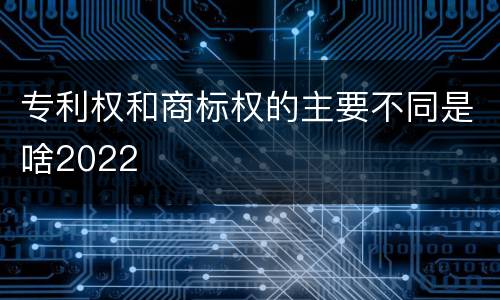 专利权和商标权的主要不同是啥2022