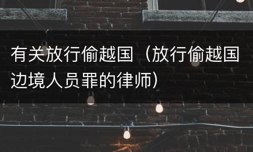 有关放行偷越国（放行偷越国边境人员罪的律师）