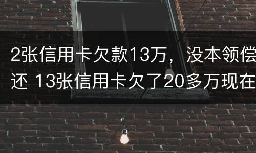 2张信用卡欠款13万，没本领偿还 13张信用卡欠了20多万现在身无分文