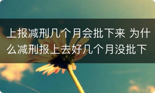 上报减刑几个月会批下来 为什么减刑报上去好几个月没批下来