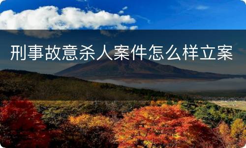 刑事故意杀人案件怎么样立案