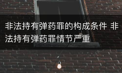 非法持有弹药罪的构成条件 非法持有弹药罪情节严重