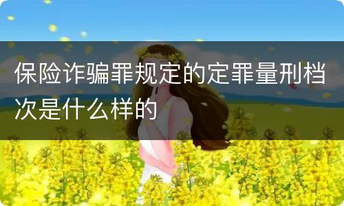 保险诈骗罪规定的定罪量刑档次是什么样的