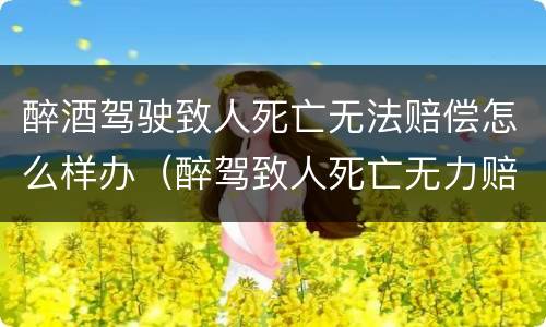 醉酒驾驶致人死亡无法赔偿怎么样办（醉驾致人死亡无力赔偿判刑还需要赔偿吗）