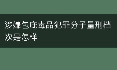 涉嫌包庇毒品犯罪分子量刑档次是怎样