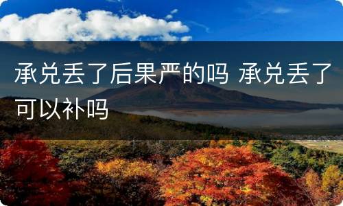 承兑丢了后果严的吗 承兑丢了可以补吗
