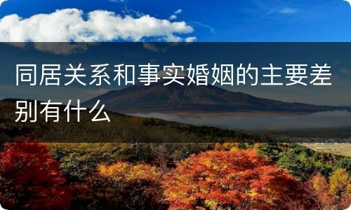 同居关系和事实婚姻的主要差别有什么