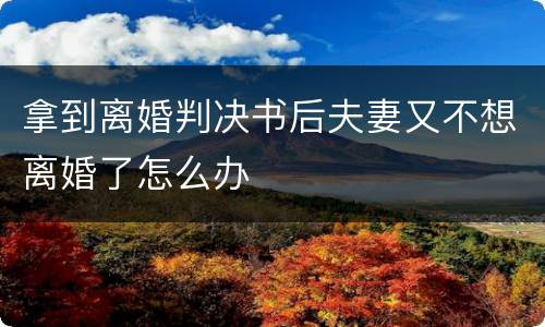 拿到离婚判决书后夫妻又不想离婚了怎么办