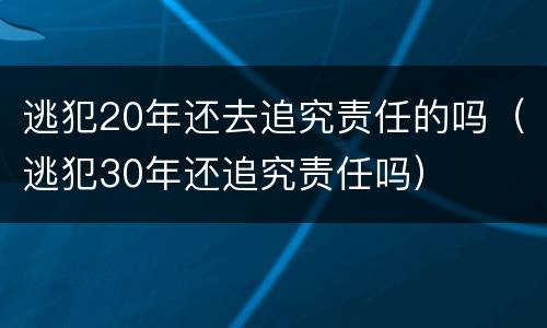 逃犯20年还去追究责任的吗（逃犯30年还追究责任吗）