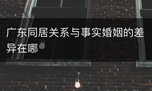广东同居关系与事实婚姻的差异在哪