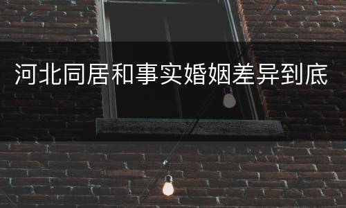 河北同居和事实婚姻差异到底