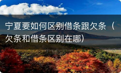 宁夏要如何区别借条跟欠条（欠条和借条区别在哪）