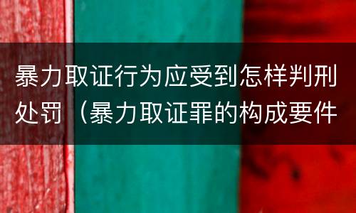 暴力取证行为应受到怎样判刑处罚（暴力取证罪的构成要件）