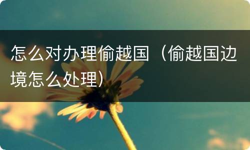 怎么对办理偷越国（偷越国边境怎么处理）