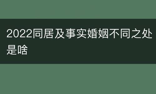 2022同居及事实婚姻不同之处是啥
