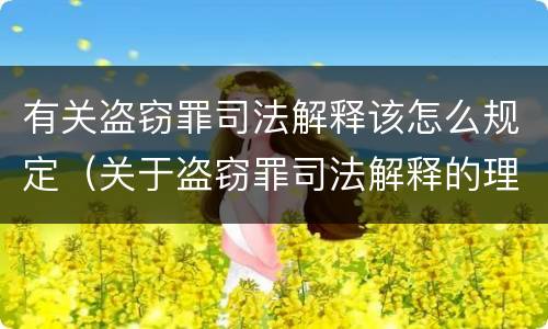 有关盗窃罪司法解释该怎么规定（关于盗窃罪司法解释的理解与适用）
