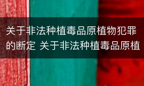 关于非法种植毒品原植物犯罪的断定 关于非法种植毒品原植物犯罪的断定案例