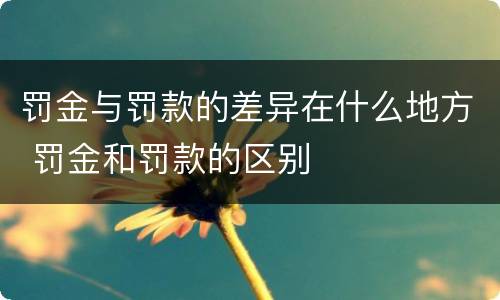 罚金与罚款的差异在什么地方 罚金和罚款的区别