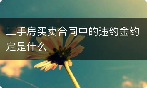 二手房买卖合同中的违约金约定是什么
