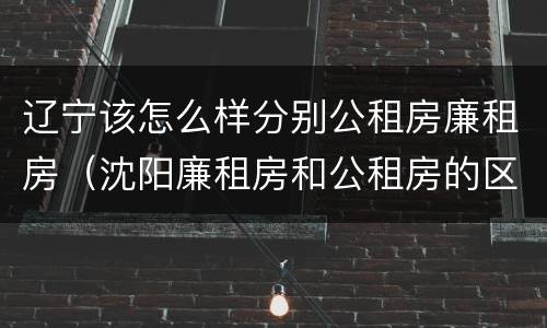 辽宁该怎么样分别公租房廉租房（沈阳廉租房和公租房的区别）