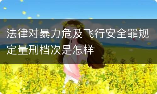 法律对暴力危及飞行安全罪规定量刑档次是怎样