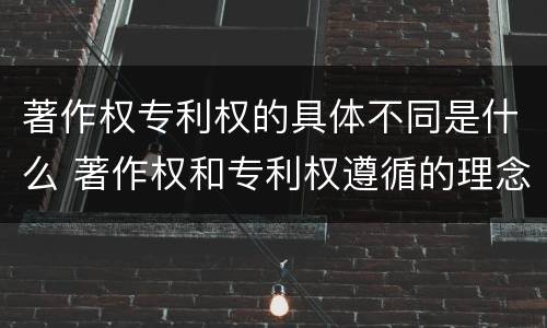 著作权专利权的具体不同是什么 著作权和专利权遵循的理念