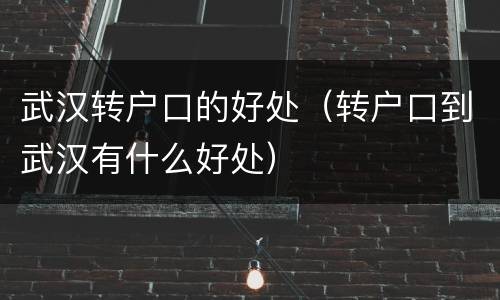 武汉转户口的好处（转户口到武汉有什么好处）