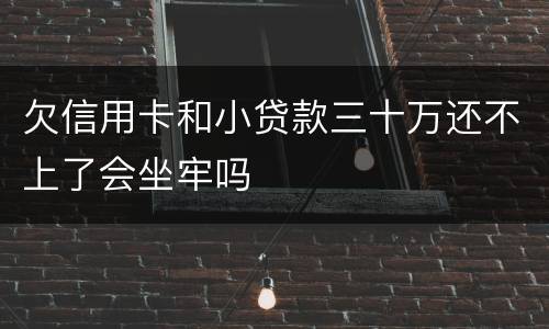 欠信用卡和小贷款三十万还不上了会坐牢吗