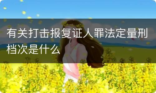 有关打击报复证人罪法定量刑档次是什么