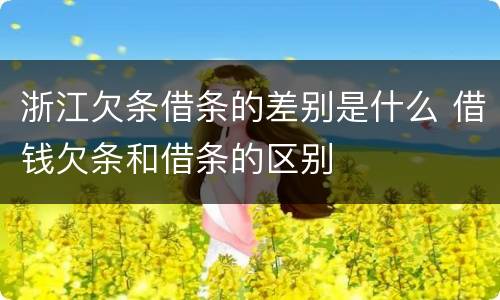 浙江欠条借条的差别是什么 借钱欠条和借条的区别