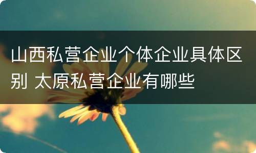 山西私营企业个体企业具体区别 太原私营企业有哪些