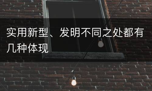实用新型、发明不同之处都有几种体现