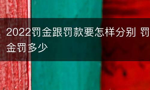 2022罚金跟罚款要怎样分别 罚金罚多少