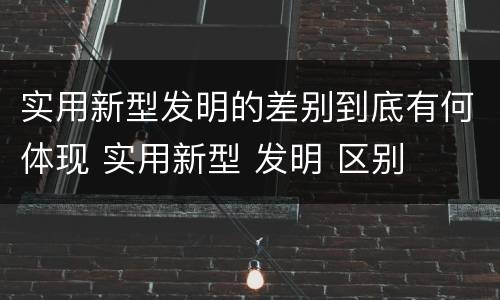 实用新型发明的差别到底有何体现 实用新型 发明 区别