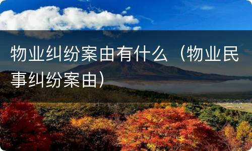 物业纠纷案由有什么（物业民事纠纷案由）